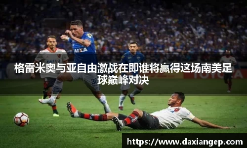 zoty中欧官网
